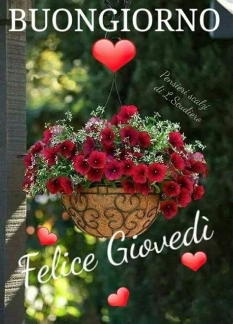 buongiorno giovedì nuove immagini|buongiorno buon giovedì.